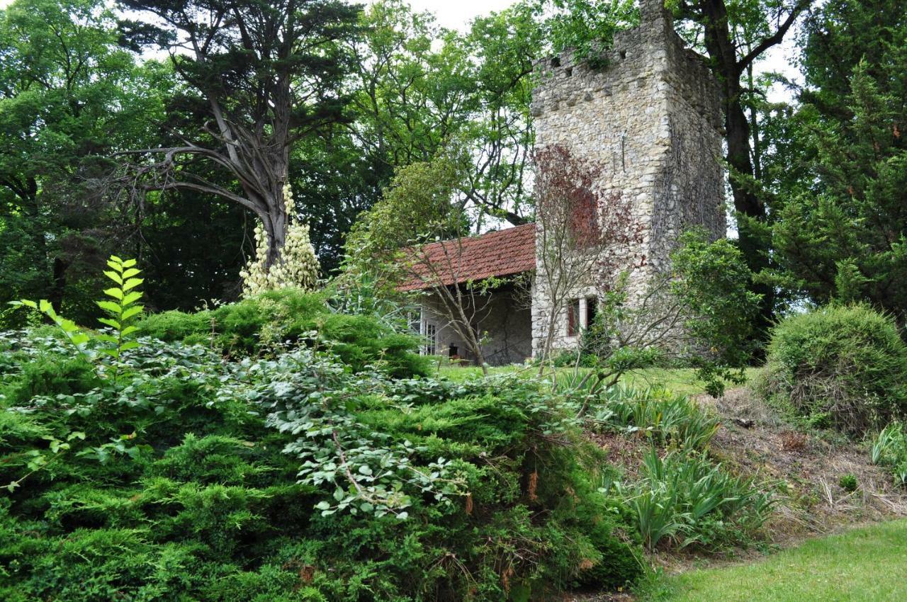 Chateau Logis De Roche Clairac Kültér fotó